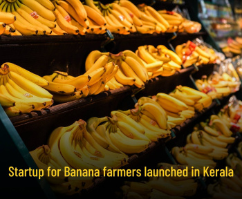 Startup for Banana farmers launched in Kerala