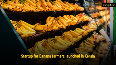 Startup for banana farmers, Greenikk launched in Kerala
