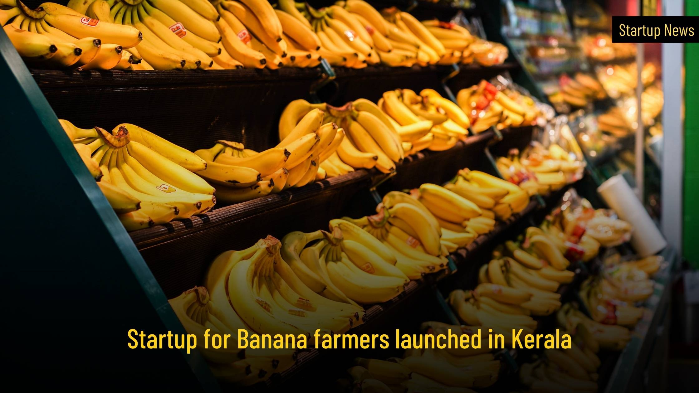 Startup for Banana farmers launched in Kerala